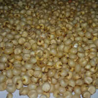 White Sorghum Seeds Grade: Premium