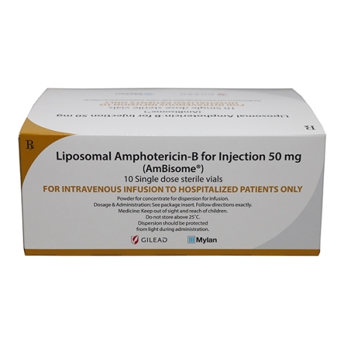 Amphotericin B Injection