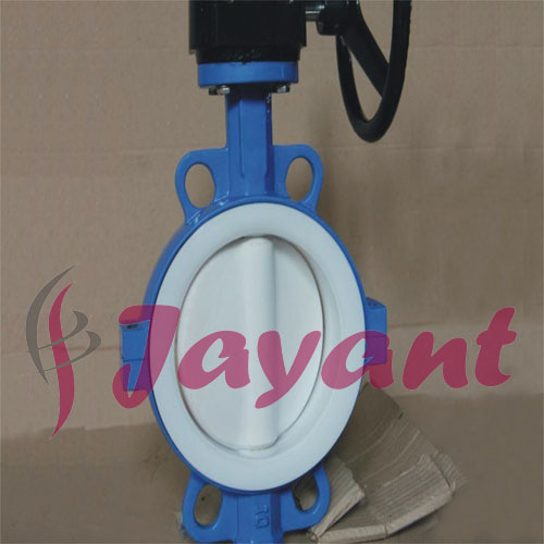 Lined butterfly valve
