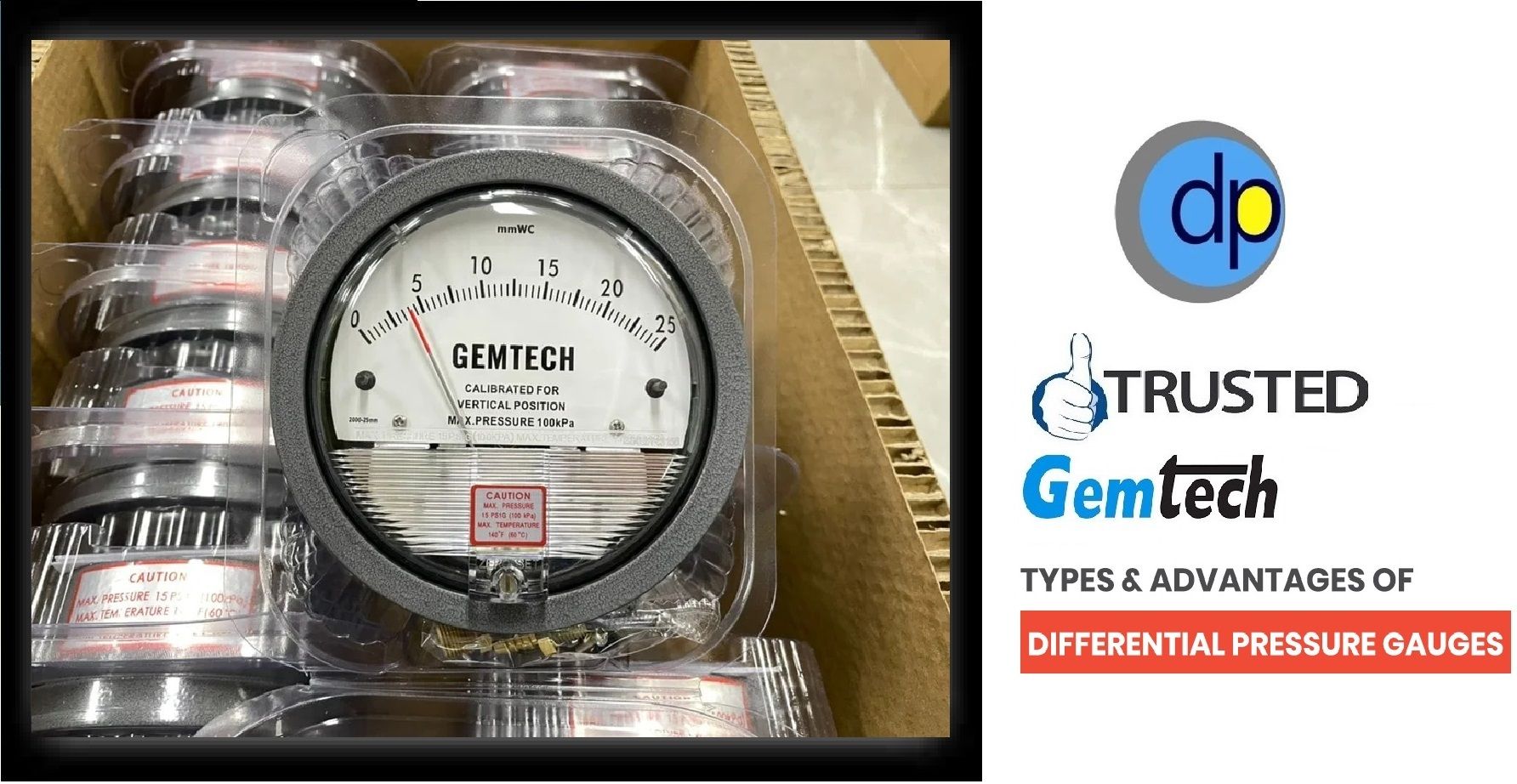 Series S2000 GEMTECH Differential Pressure Gauges by Bengaluru Karnataka