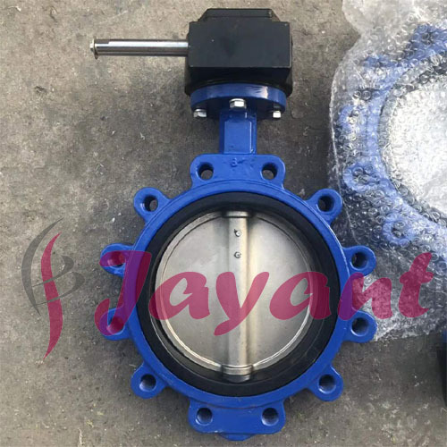 lug butterfly valve