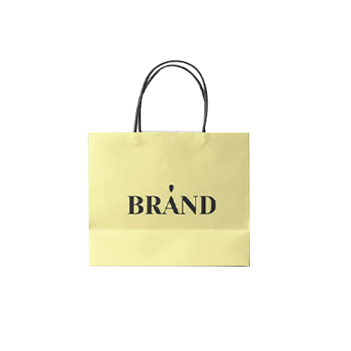 Printed Paper Bag