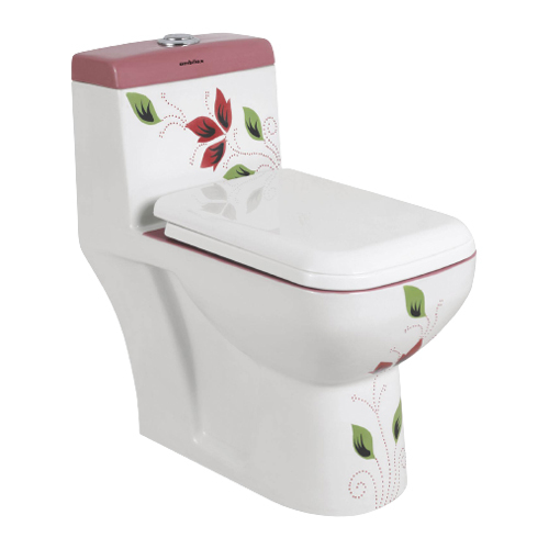 Designer One Piece Water Closet