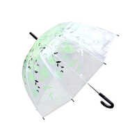 Transparent Polyester Umbrella