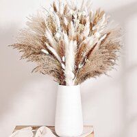 Dried pampas grass