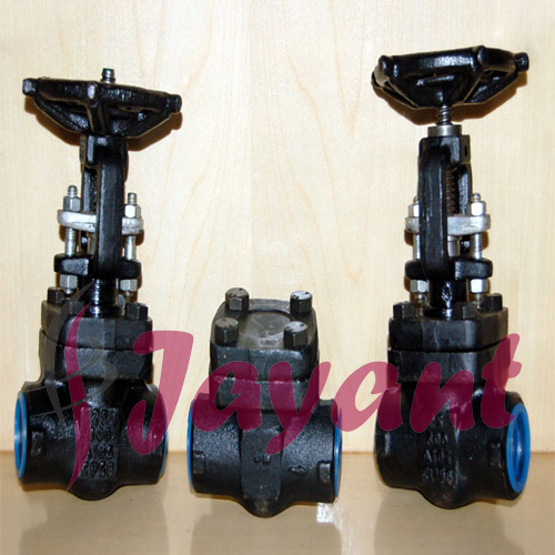 Forged Steel Globe Valve