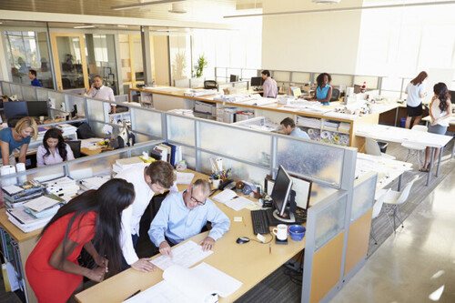 Consulting Services