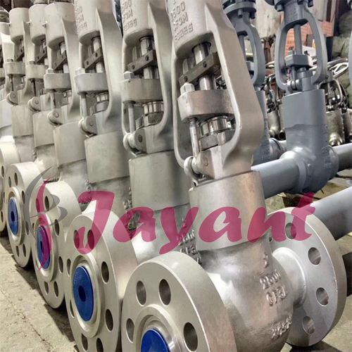 Stainless Steel Globe Valve