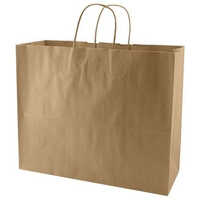 Paper Carry Bag