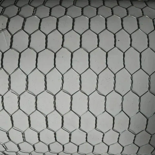 Steel Wire Mesh