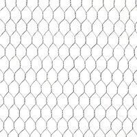 Hexagonal Wire Netting Mesh