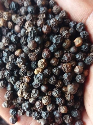 Black pepper