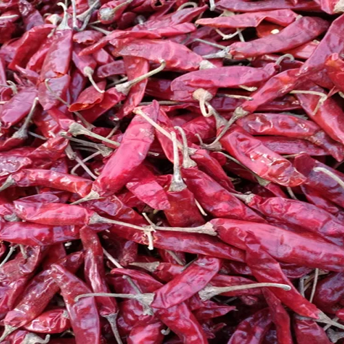334 Dry Red Chilli Sanam