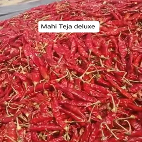 Mahi Teja Deluxe Quality Red Chilli