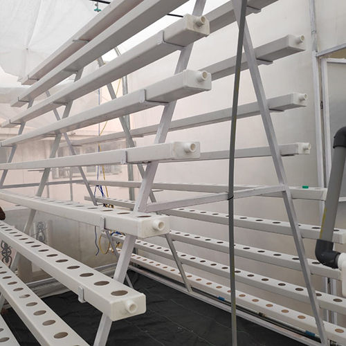 Hydroponic System In Bengaluru, Karnataka At Best Price  Hydroponic System  Manufacturers, Suppliers In Bangalore