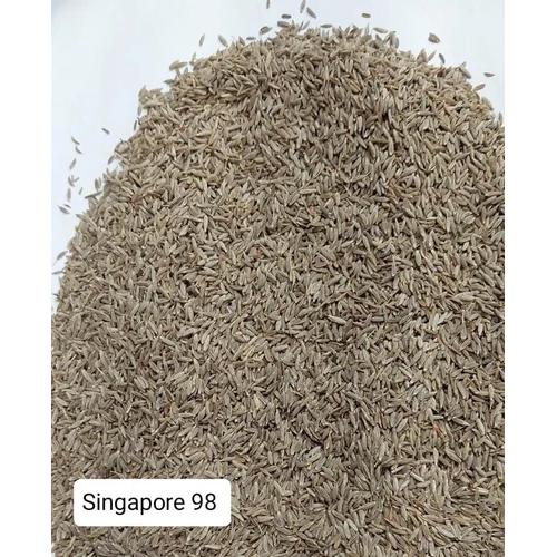 Singapore Quality 98 Cumin Seed
