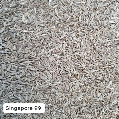 Singapore 99 Cumin Seeds Jeera