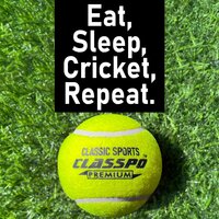 Light-Weight Tennis Ball