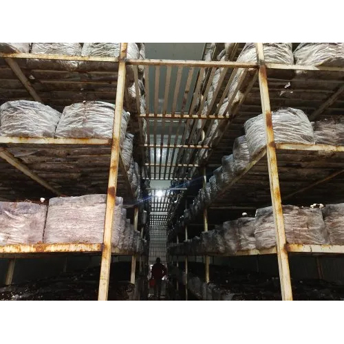 Mushroom Plant Cold Storage