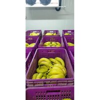 Banana Fruit Ripening Chambers