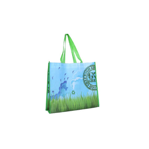 Plastic Reusable Printed Bag