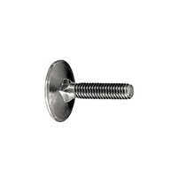 Silver Elevator Bolt