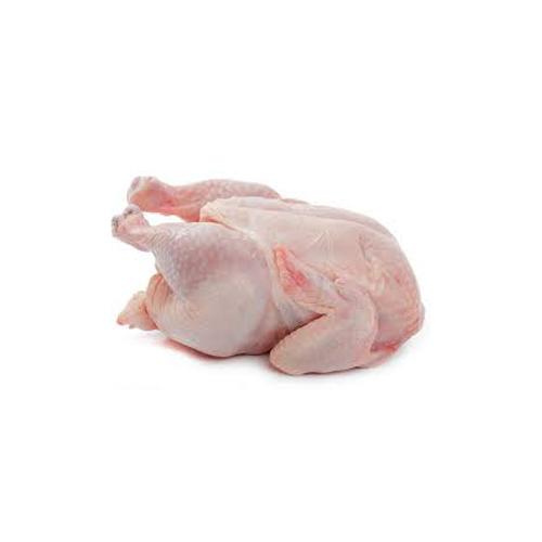 Frozen Chicken