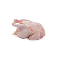 Light Pink Frozen Chicken