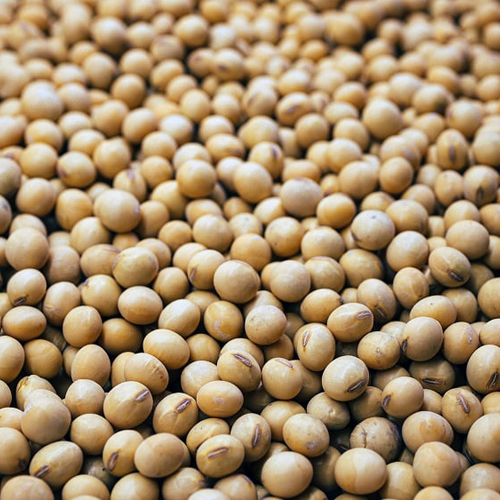 Natural Soybeans