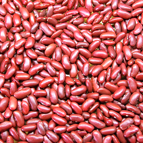 Kidney Bean