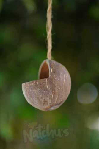 Coconut Shell Bird Feeder