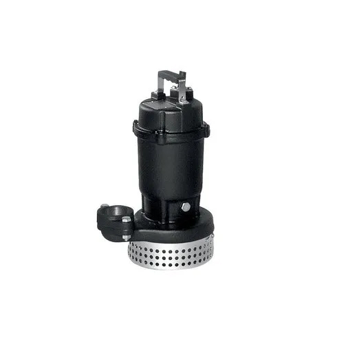 Ebara DS Wastewater Lift Pump