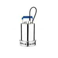 Ebara Stainless Steel Wastewater Pump