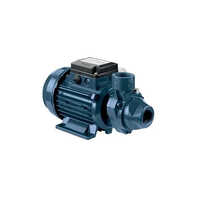 Ebara PRA-PRN Peripheral Pump
