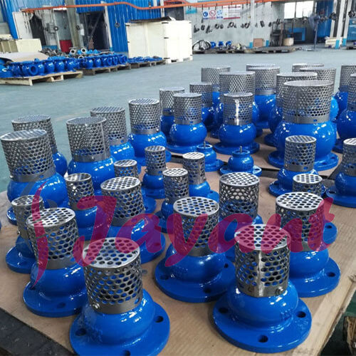 Cast Iron Foot Valve Application: Hydraulic Pumps