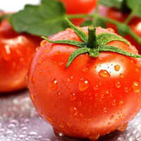 Fresh Tomato - Raw, Bright Red Color , Juicy Texture with Sweet and Slightly Acidic Flavor