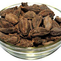 Black Cardamom - Product Type: Fresh