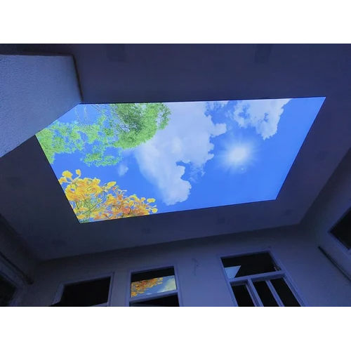 Customized 3d Ceiling Service