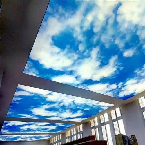 Reception False Stretch Ceiling