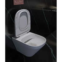 Ceramic Water Closet