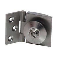 WALL TO GLASS HINGES