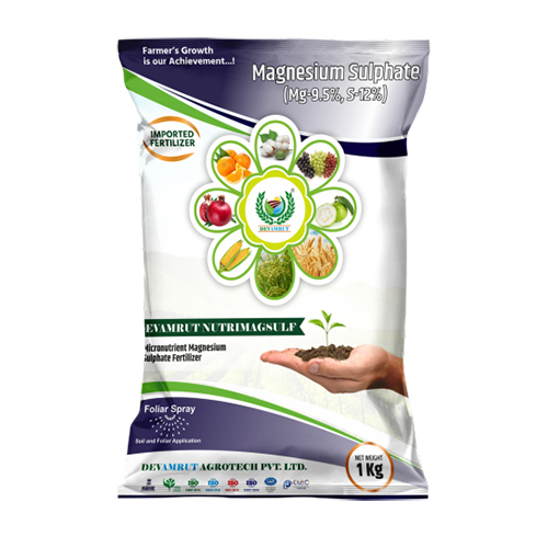  Magnesium Sulphate