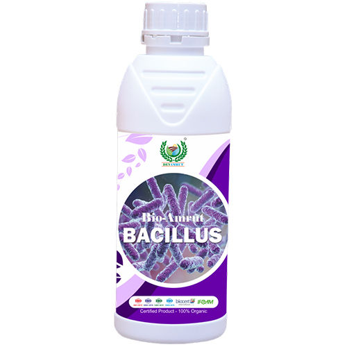 White Bio-Amrut Bacillus