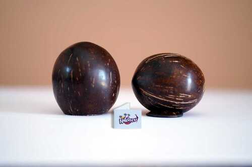 Coconut Shell Piggy Bank