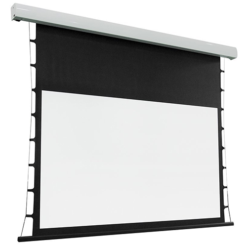 Taptenson Motorized Screen