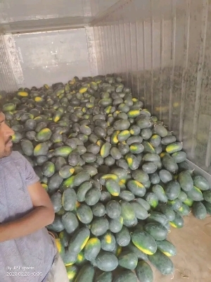 Fresh Watermelon