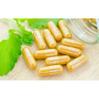 Sustained Release Ready Mix Coating Material - Application: Pharmaceutical Industry
