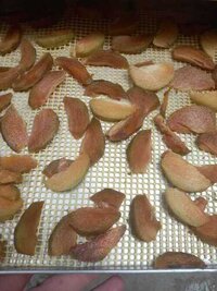 Dehydrated Sapota Defined