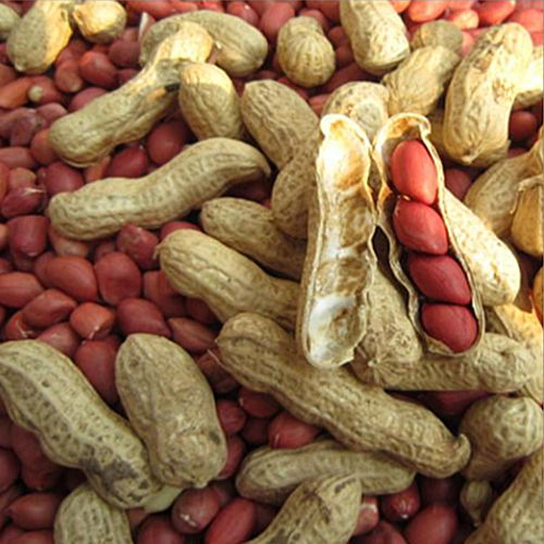 Natural Whole Peanuts