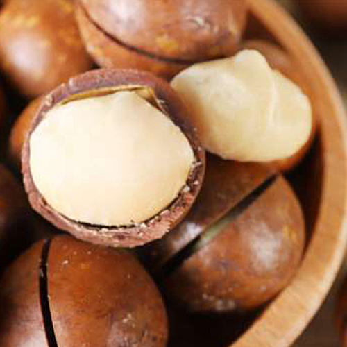 Fresh Macadamia Nuts